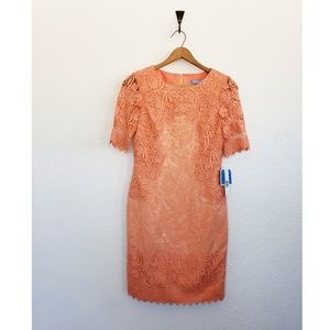 Antonio melani coral lace dress nwt